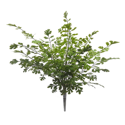 Mother Fern Large 35.5x35.5x46cm