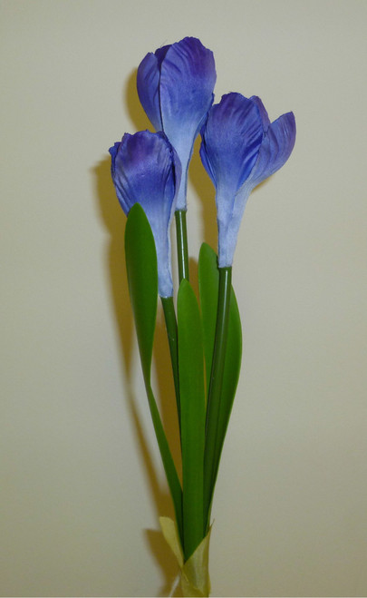 Crocus Spray x3 Purple