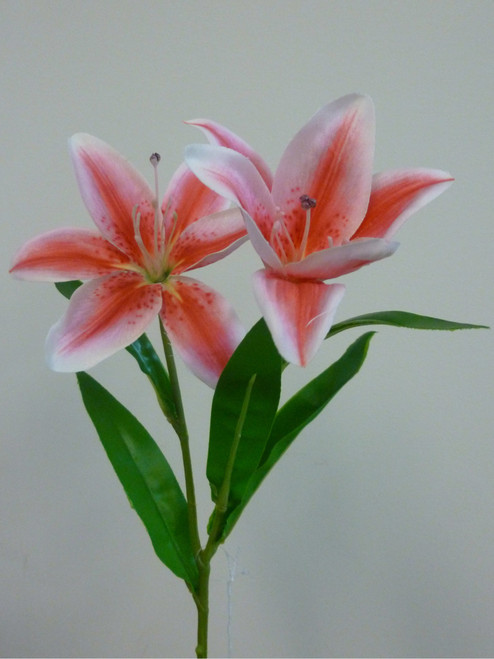 47cm Satin Lily Hot Pink