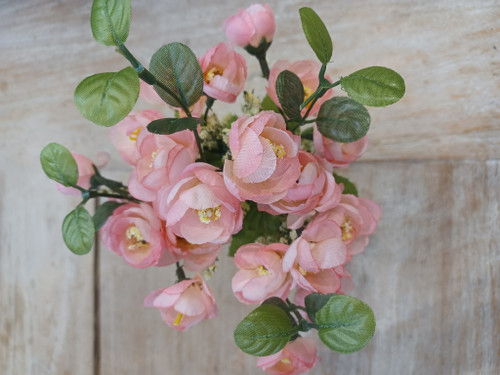 Mini Ranunculus Bush x7 Pink
