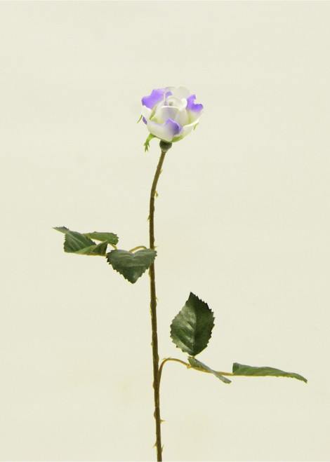 Rosebud Lilac