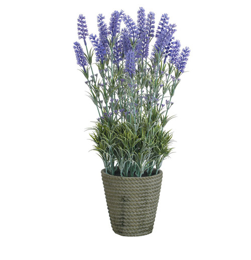 53cm Potted Lavender Cement
