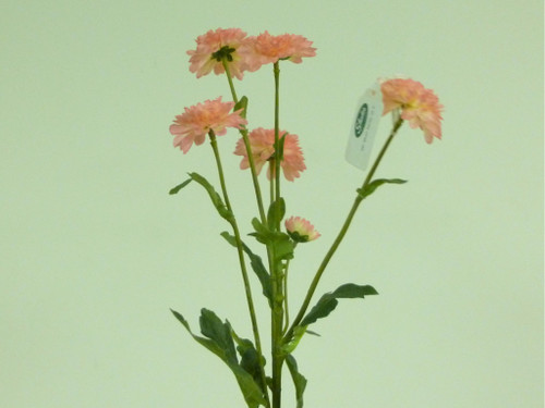25" Mum Spray x5 Pink