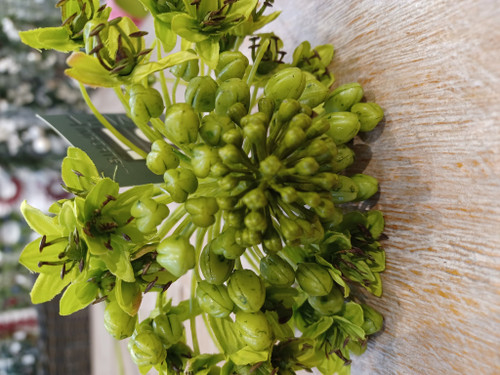 24" Onion Flower Spray Green