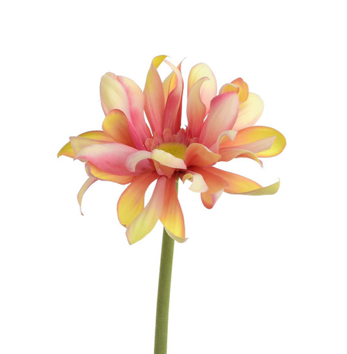 55cm Curly Gerbera Pink