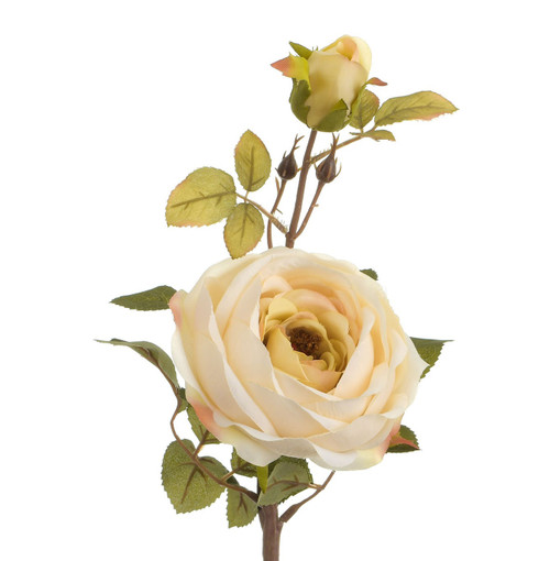 60cm Rose Spray Cream
