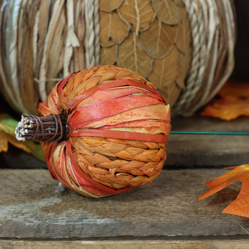 Pumpkin Pick Plaited 7x7x24cm