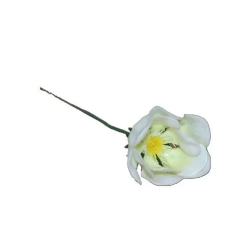 White Hellebores Pick X100 (1/30) White Hellebores Pick X100 (1/30)