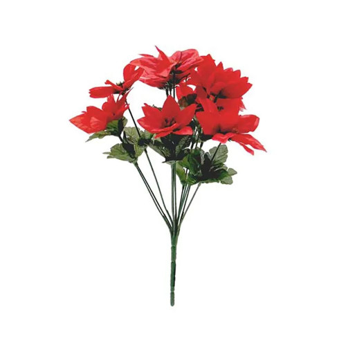 Poinsettia Bushx12 Red (36/144)