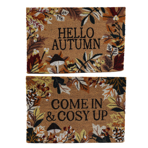 60X40Cm Autumn Doormat 2 Asst 