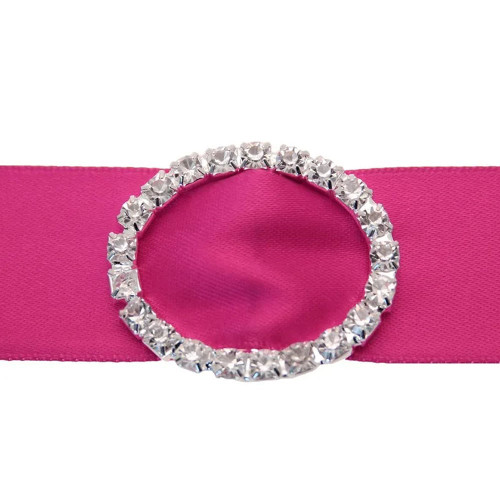 Medium Oval Buckle Pack Of 4