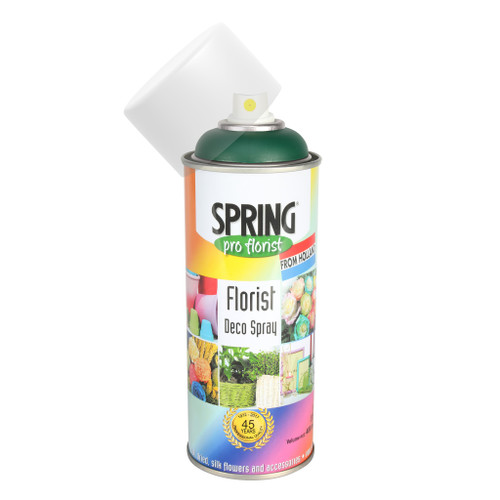 Spray Paint Euro-Aerosols Holiday Green