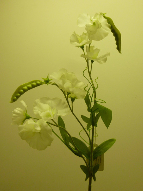 70cm Sweet Pea Spray Cream