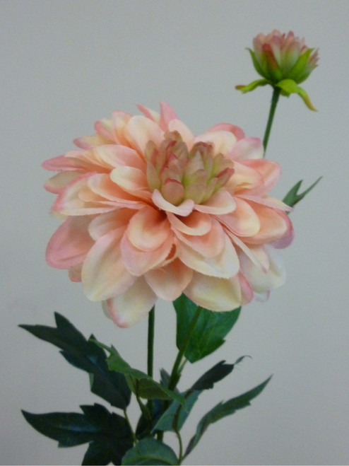 61cm Single Dahlia Pink