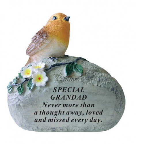 Grandad Single Robin On Rock