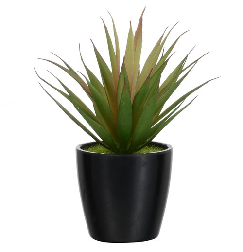 16cm Succulent Black Pot
