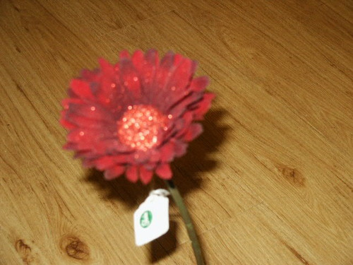 Burgundy Velvet Single Gerbera