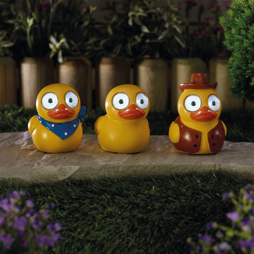 Lucky Ducky!