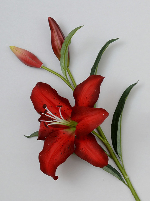 94cm Giant Casablanca Lily Red