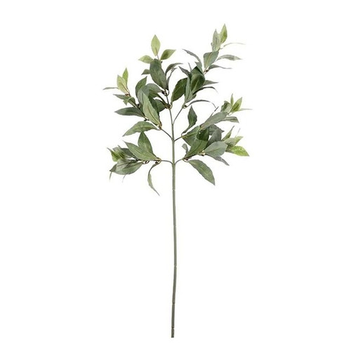 BAY Leaf Spray