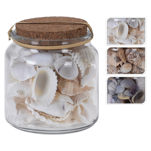 Deco Shells In Glass Pot