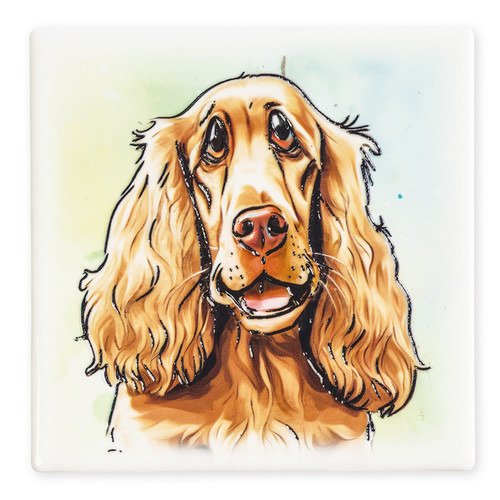 Coaster - Cocker Spaniel