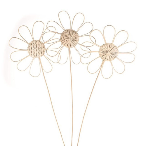 Rattan Flower Bleached 25Cm