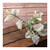 Dusty Miller Long Stem Spray Green 70 cm from Country Baskets