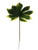 Artificial Variegated Aralia Leaf from Country Baskets
