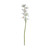 Large White Cymbidium Flowers 90cm