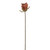 Autumn Sparkle Rose Bud Apricot 46 cm