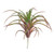 Tillandsia Succulent Pick 16 cm