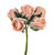 Foam Rosebuds 6 Heads Vintage Peach