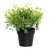 Artificial Potted Oregano 23 cm