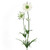 Artificial Scabiosa Spray Cream 64 cm