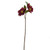 Jewel Christmas Rose Spray Wine 54 cm