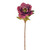 Hellebore Stem Purple 49 cm