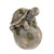 Tortoise On Ball