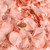 Glittered Rose Petals Rose Gold