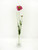 Artificial Scabiosa Spray Pink 64 cm