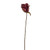 Autumn Sparkle Rose Bud Wine 46 cm from Country Baskets