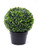 Artificial Potted Boxwood Ball 32 cm Height