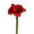 Artificial Red Queen Amaryllis 51 cm