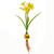 Daffodil With Bulb Yellow 25 cm