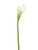 Artificial Small Head Calla Lily 66 cm