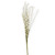 English Heath Broom Spray Cream 68 cm