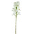 Tintagel Cybidium Orchid White