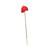 Anthurium Red from Country Baskets