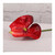 Anthurium Red