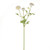 Fiesta Ranunculus Cream 66 cm